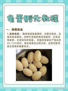 交易需证，养殖无忧？（蛋龟入保有什么好处）
