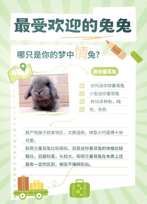 品种与饲养要点(宠物兔的品种有哪些) 品种与饲养要点(宠物兔的品种有哪些)