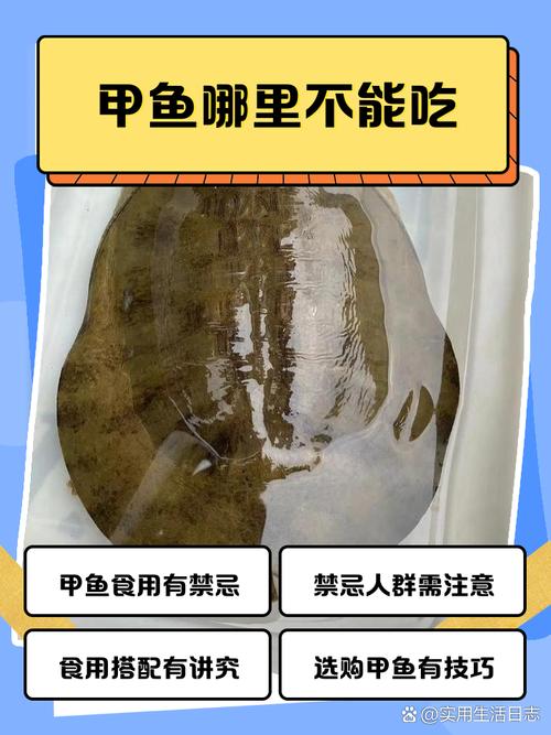 龟鱼混养有妙招,选对种类空间足!(不吃鱼的乌龟有哪些) 龟鱼混养有妙招,选对种类空间足!(不吃鱼的乌龟有哪些)