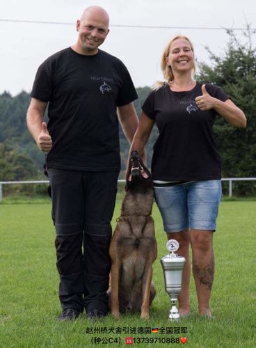 代宏静与狗狗的深度沟通之道(美女宠物犬训练庄园) 代宏静与狗狗的深度沟通之道(美女宠物犬训练庄园)