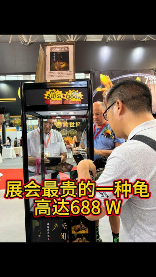龟类珍贵稀有,保护动物价值高(最贵的龟是什么鬼) 龟类珍贵稀有,保护动物价值高(最贵的龟是什么鬼)