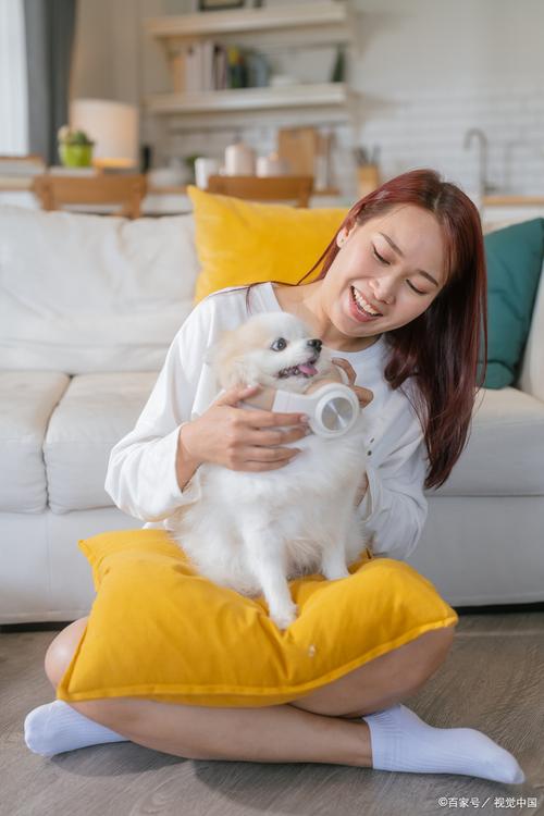 主播为流量不择手段(女主播与宠物狗的互动) 主播为流量不择手段(女主播与宠物狗的互动)