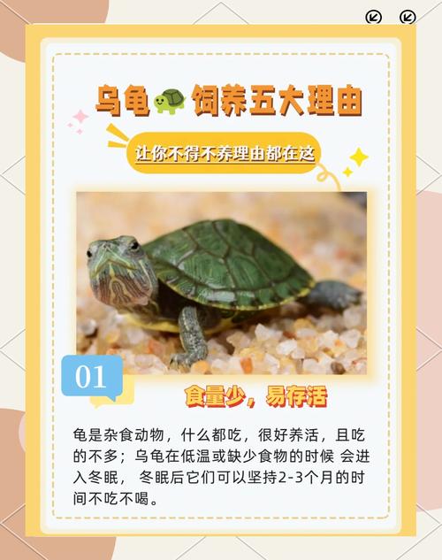 习性环境与健康(宠物龟行为ppt) 习性环境与健康(宠物龟行为ppt)