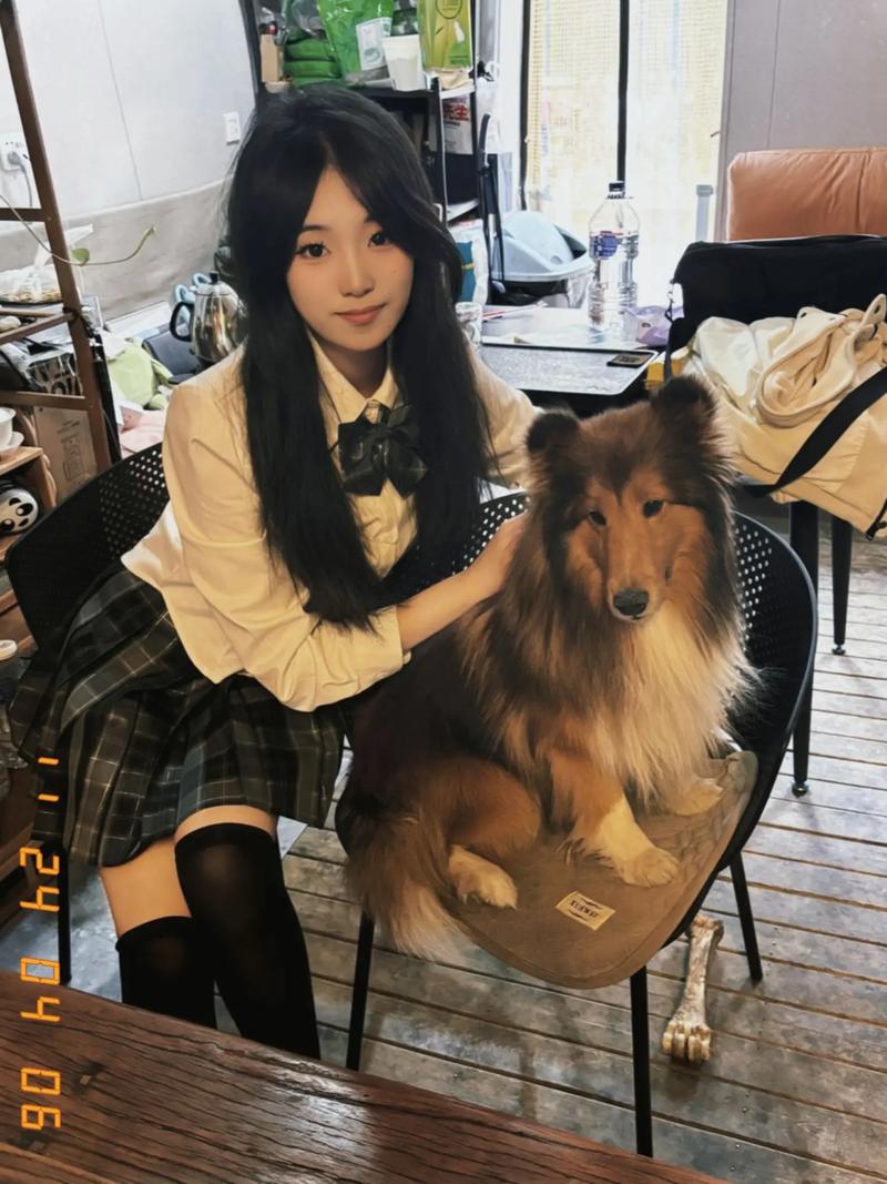 爱与责任守护宠物成长(美女宠物犬训练学校认妈了) 爱与责任守护宠物成长(美女宠物犬训练学校认妈了)