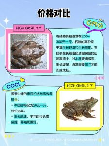 青蛙亲戚多，各有各特色，要和谐相处（和青蛙长得有点像的那个叫什么）