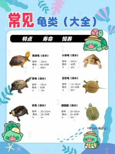 龟肉营养好，巴西草龟珍珠佳，食用乌龟选对品种很重要（能吃的乌龟有什么品种）