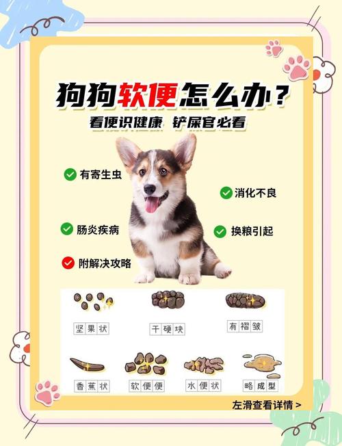 宠物粪便干爽不沾身,是消化系统高效吸收水分,加上排便后清洁行为共同作用的结果(为什么宠物拉屎不粘) 宠物粪便干爽不沾身,是消化系统高效吸收水分,加上排便后清洁行为共同作用的结果(为什么宠物拉屎不粘)