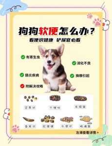 宠物粪便干爽不沾身，是消化系统高效吸收水分，加上排便后清洁行为共同作用的结果（为什么宠物拉屎不粘）