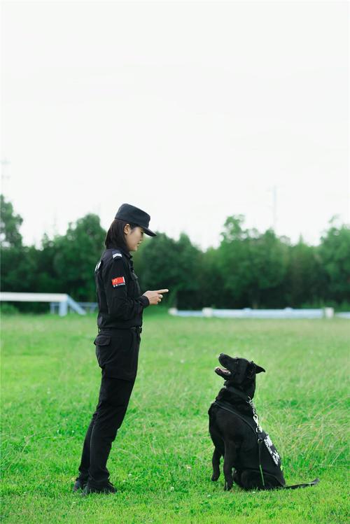 科学养宠新风尚（美女宠物犬训练学校）