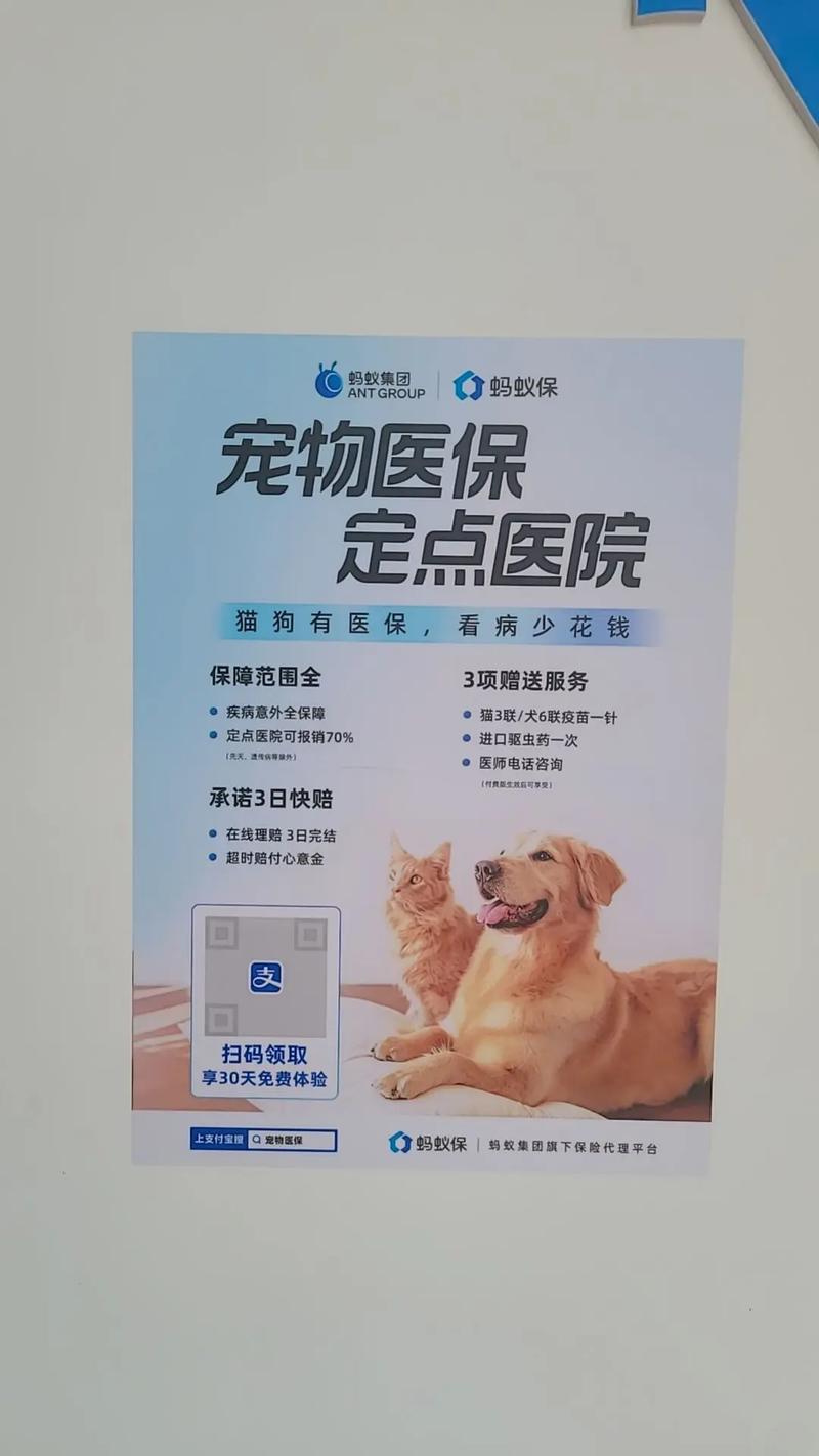 选宠物险看口碑！众安普惠，平安专猫，阳光理赔快（宠物保险十大排行榜）