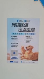 选宠物险看口碑！众安普惠，平安专猫，阳光理赔快（宠物保险十大排行榜）
