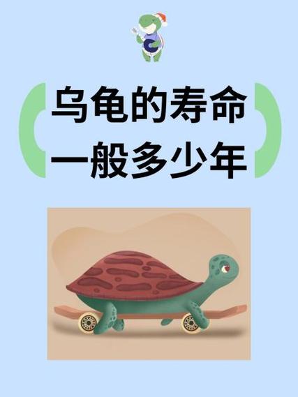 乌龟背甲纹路看年龄?(十几岁的乌龟代表人多少岁) 乌龟背甲纹路看年龄?(十几岁的乌龟代表人多少岁)
