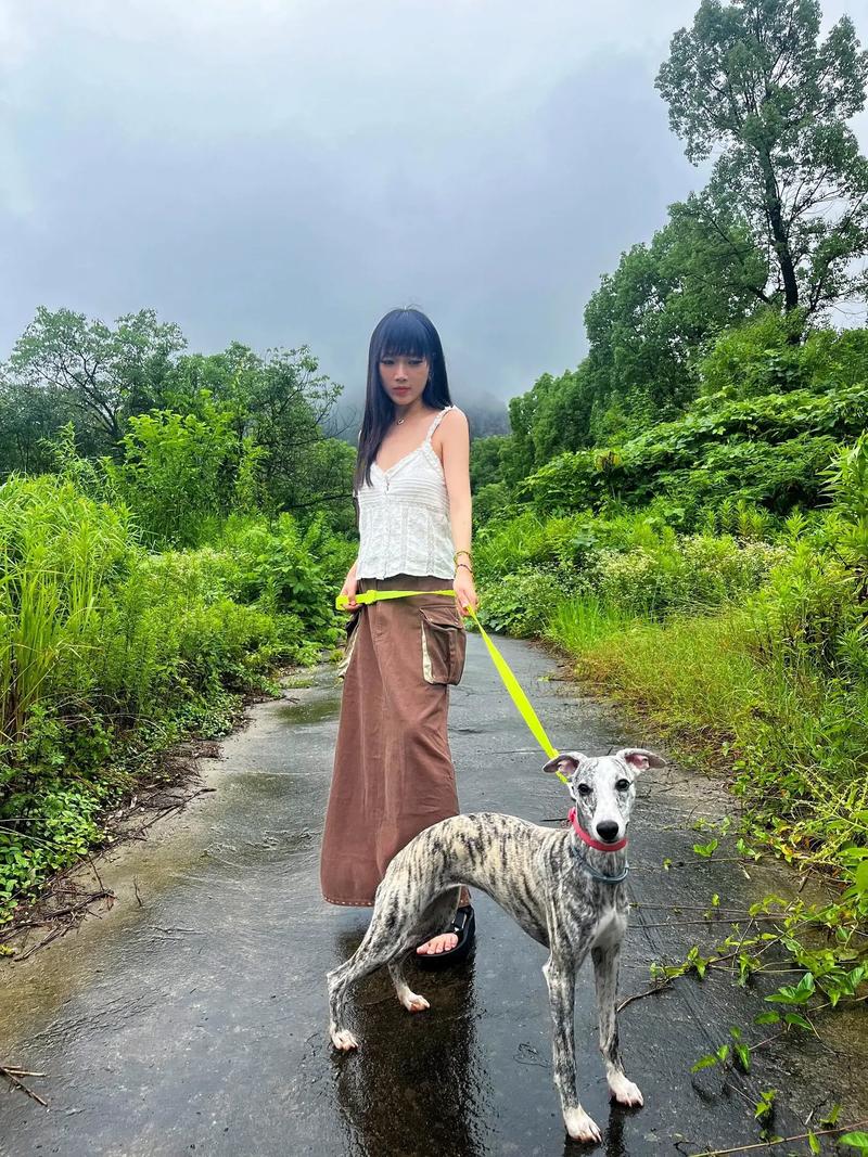 爱与责任守护宠物成长(美女宠物犬训练学校认妈了) 爱与责任守护宠物成长(美女宠物犬训练学校认妈了)