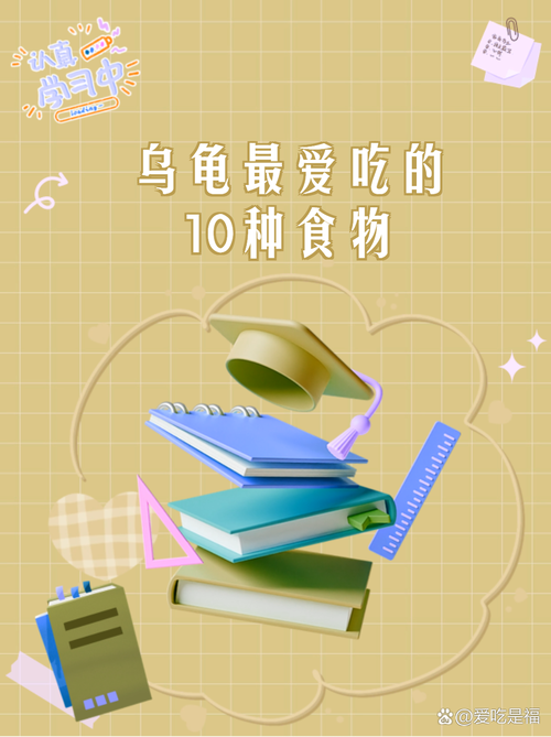 乌龟喂食看年龄季节,小龟多喂大龟少,冬季停食(乌龟一天吃多少食物) 乌龟喂食看年龄季节,小龟多喂大龟少,冬季停食(乌龟一天吃多少食物)