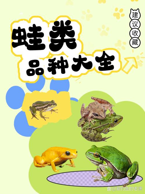 蛙类品种多 生态价值高(蛙类品种100种图鉴) 蛙类品种多 生态价值高(蛙类品种100种图鉴)