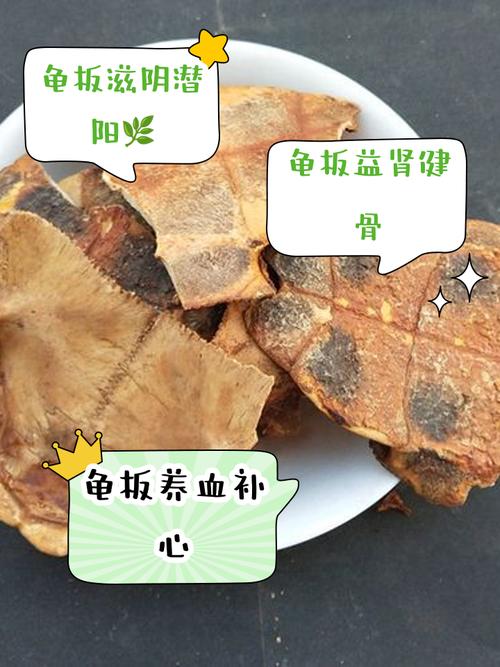 龟壳功效多,火麻花生壳也神奇(乌龟壳的功效与作用及食用方法) 龟壳功效多,火麻花生壳也神奇(乌龟壳的功效与作用及食用方法)
