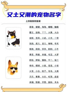 适合小麦色狗狗的名字（宠物犬起名 小麦颜色的狗）