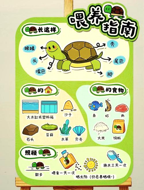 乌龟爱吃什么?鱼虫蚯蚓营养好(乌龟最爱吃的10种食物图片) 乌龟爱吃什么?鱼虫蚯蚓营养好(乌龟最爱吃的10种食物图片)