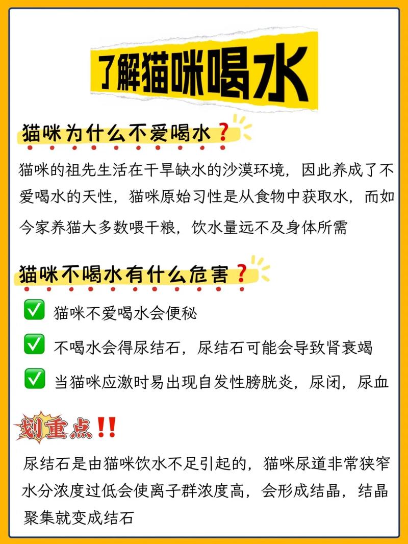 宠物不爱喝水?试试这些妙招!(宠物不爱喝水怎么办) 宠物不爱喝水?试试这些妙招!(宠物不爱喝水怎么办)