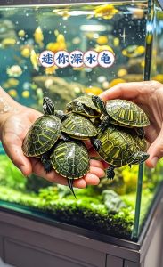 养龟需大空间？选西部锦龟，科学饲养保健康！（什么宠物龟好养又漂亮）