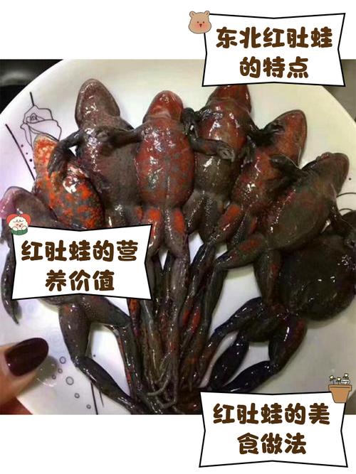蛙状腹是什么病?需警惕!(蛙腹图片) 蛙状腹是什么病?需警惕!(蛙腹图片)