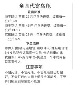 快递不送龟？找冷链物流或航空货运！（哪个快递可以邮寄宠物龟）