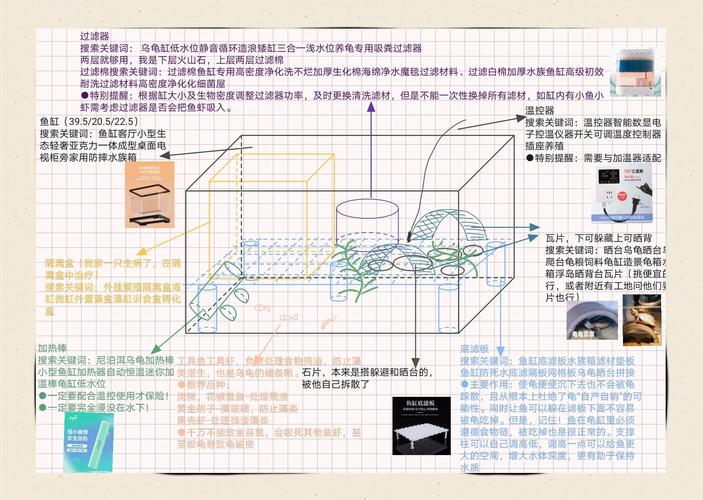 巧用空间,打造理想栖息地(做一张乌龟缸的正确布置图纸) 巧用空间,打造理想栖息地(做一张乌龟缸的正确布置图纸)
