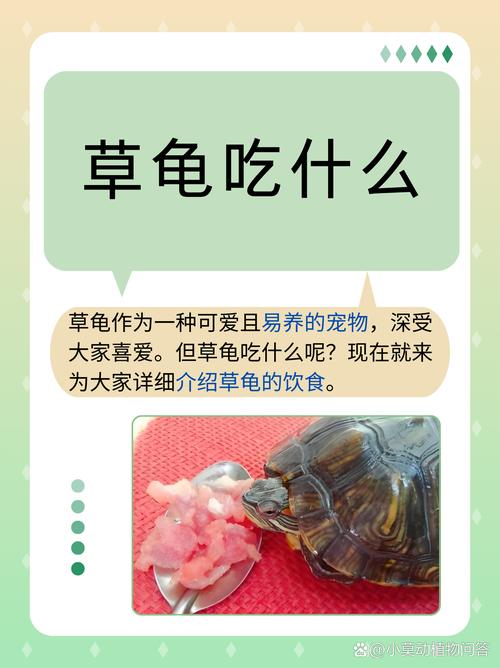 乌龟爱吃什么?鱼虫蚯蚓营养好(乌龟最爱吃的10种食物图片) 乌龟爱吃什么?鱼虫蚯蚓营养好(乌龟最爱吃的10种食物图片)