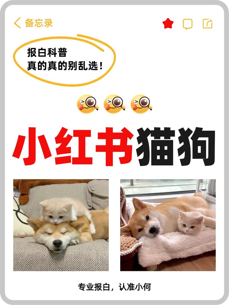 小红书宠物交易需报白审核,疫苗体检是关键!(小红书现在可以做活体宠物不) 小红书宠物交易需报白审核,疫苗体检是关键!(小红书现在可以做活体宠物不)