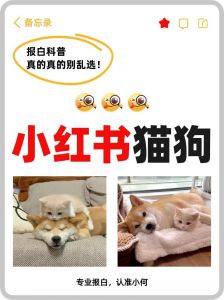 小红书宠物交易需报白审核，疫苗体检是关键！（小红书现在可以做活体宠物不）
