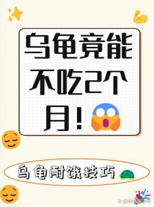 乌龟耐饿是假象，健康饮食环境更重要（乌龟一个星期不吃东西会不会饿死）