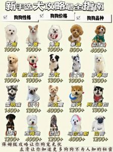 选对狗狗！常见犬种特点和性格（宠物犬种）