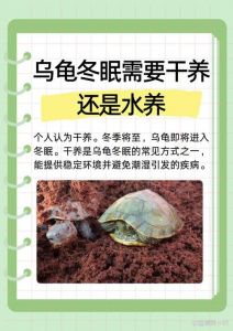 数量品种位置空间要讲究（不宜养龟的5大忌）