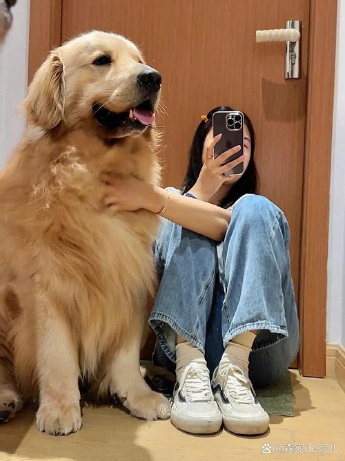 宠物险宣传遭骂,底线何在?(宠物犬p图女性) 宠物险宣传遭骂,底线何在?(宠物犬p图女性)