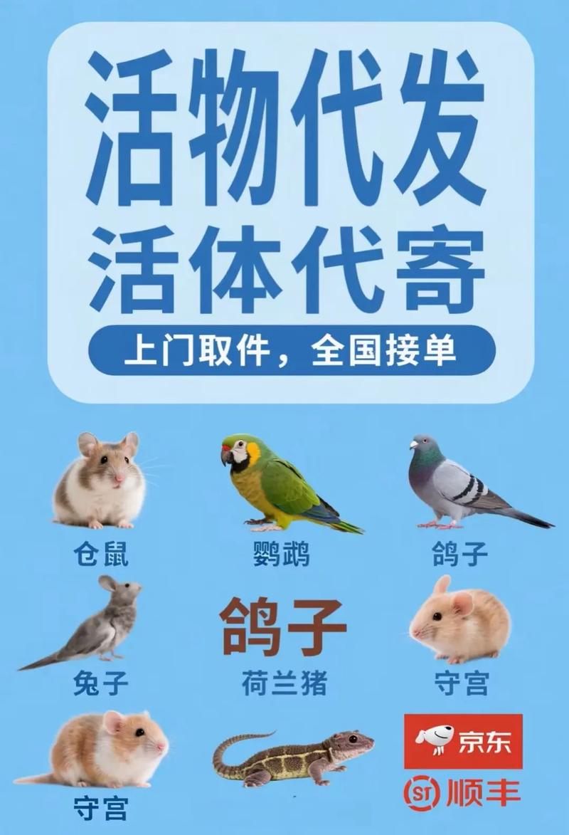 寄活体乌龟须守法选靠谱快递,细心包装呵护生命(活体乌龟怎么快递) 寄活体乌龟须守法选靠谱快递,细心包装呵护生命(活体乌龟怎么快递)