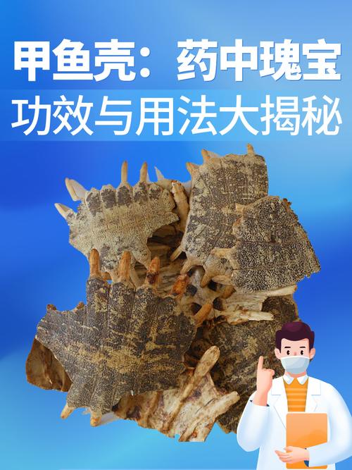 药用风水价值高，保护利用需可持续（大乌龟壳有什么作用）