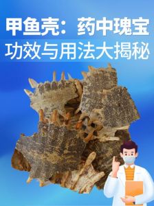 药用风水价值高，保护利用需可持续（大乌龟壳有什么作用）