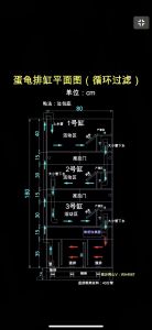 巧用空间，打造理想栖息地（做一张乌龟缸的正确布置图纸）