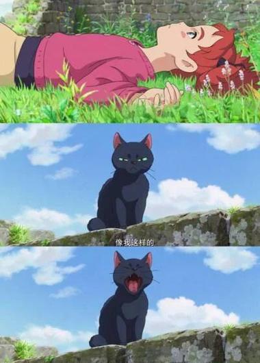 雨中救猫变女巫,狐耳消失?(成为魔女小姐的宠物) 雨中救猫变女巫,狐耳消失?(成为魔女小姐的宠物)
