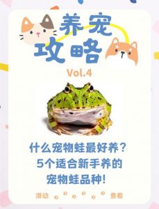 养水栖蛙，平衡水陆环境很重要（宠物蛙怎么合法饲养）