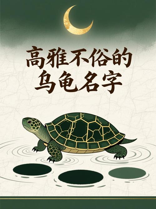 食物外形中英结合（怎么叫小龟好听点）
