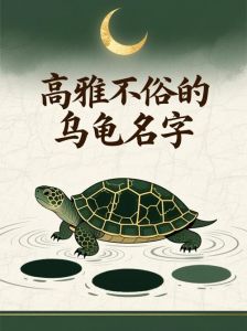 食物外形中英结合（怎么叫小龟好听点）