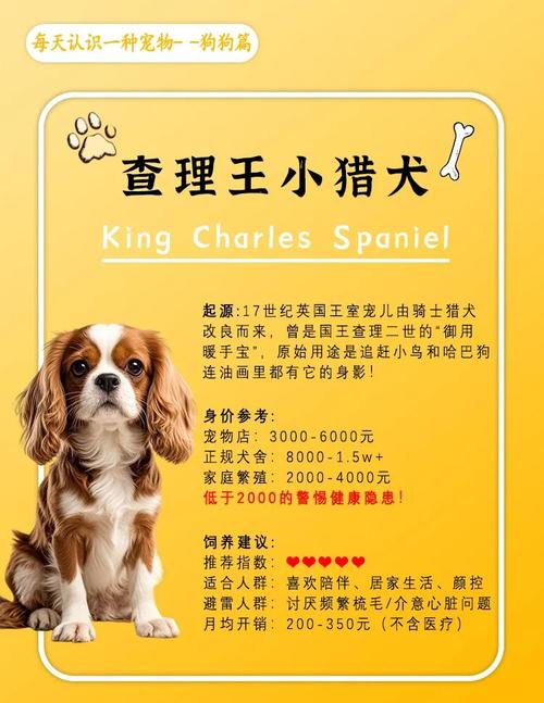 性价比高，提升生存效率（活下去宠物怎么用性价比最高）