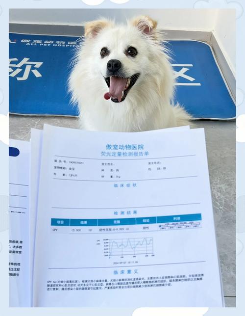 抽血用药与人类不同,费用高但技术进步带来新机遇(抽血化验宠物和人的机器一样吗) 抽血用药与人类不同,费用高但技术进步带来新机遇(抽血化验宠物和人的机器一样吗)
