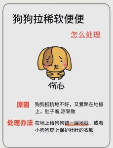 宠物粪便及时清理，健康社区靠大家（宠物狗拉屎怎么处理）