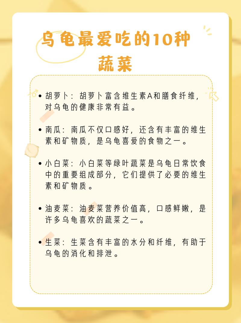 乌龟吃什么?蔬菜小鱼干水果龟粮全搞定(乌龟最爱吃的10种蔬菜) 乌龟吃什么?蔬菜小鱼干水果龟粮全搞定(乌龟最爱吃的10种蔬菜)