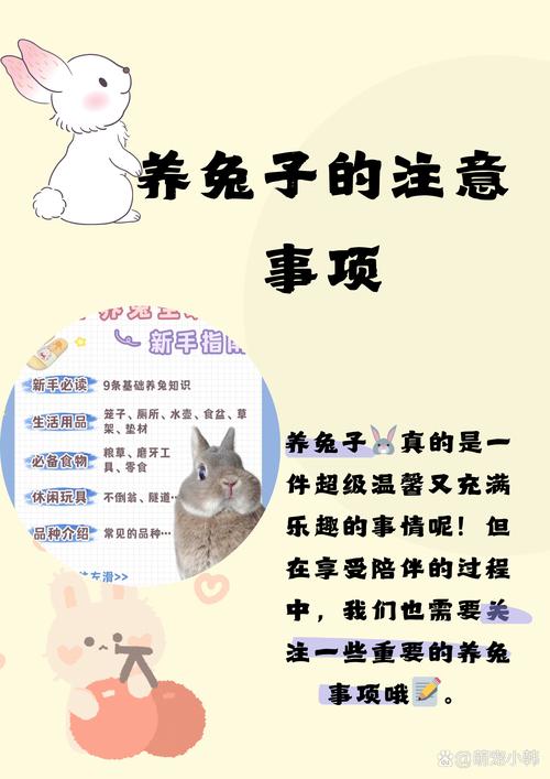 喂知识+真实测评,吸粉必备!(宠物乐园做小红书发些什么内容好) 喂知识+真实测评,吸粉必备!(宠物乐园做小红书发些什么内容好)
