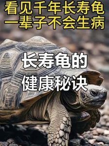 长寿龟壳纹路赫曼红腿陆龟养护指南（国内可以养的乌龟哪种寿命最长）