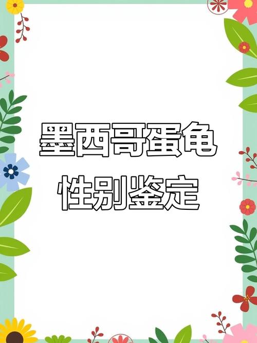 龟性别由温度决定，高温产雌低温产雄（蛋龟的dna性别鉴定）