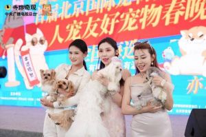 2026人宠春晚圆满落幕，温馨感动全场！（2026人宠友好宠物春晚）